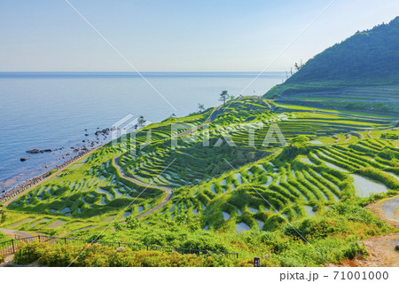 能登半島の白米千枚田 石川県輪島市白米町にての写真素材 [71001000