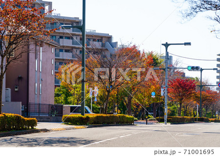 東京都 秋の 八王子市みなみ野 美しい住宅街風景の写真素材