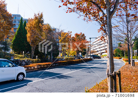 東京都 秋の 八王子市みなみ野 美しい住宅街風景の写真素材