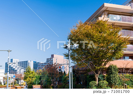 東京都　秋の「八王子市みなみ野」　美しい住宅街風景 71001700