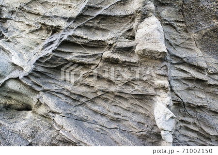 神奈川県三浦市の海岸　溶岩 71002150