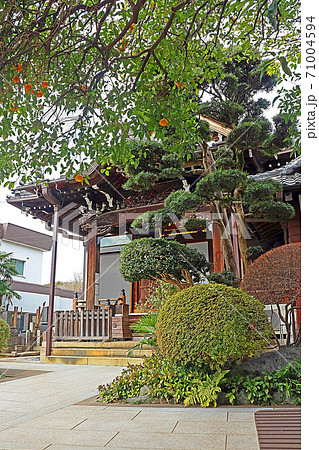 上聖寺(谷中) 上聖寺(谷中) 71004594