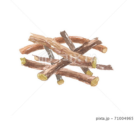 甘草　カンゾウの根 71004965