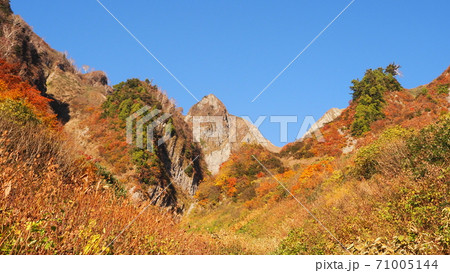 雨飾山 荒菅沢の紅葉 71005144