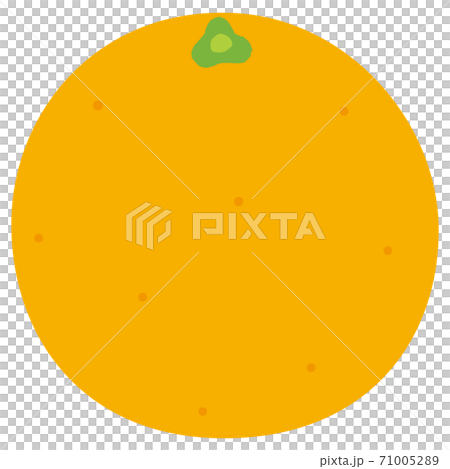 Orange illustration fresh fruit Orange illustration fresh fruit 71005289