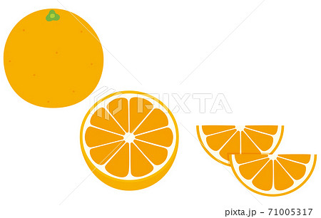 オレンジのイラスト フレッシュ 果実のイラスト素材