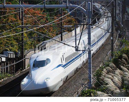 新幹線N700S J3編成と紅葉 大津市石山付近にて 新幹線N700S J3編成と紅葉 大津市石山付近にて 71005377