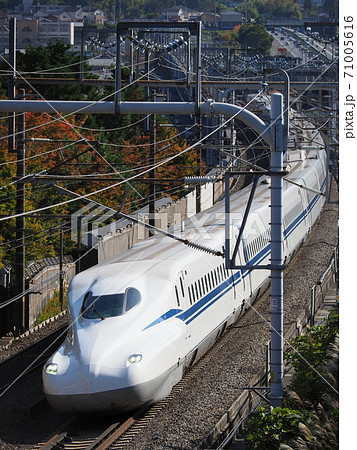 新幹線N700S　J1編成と紅葉　大津市石山付近にて 71005616