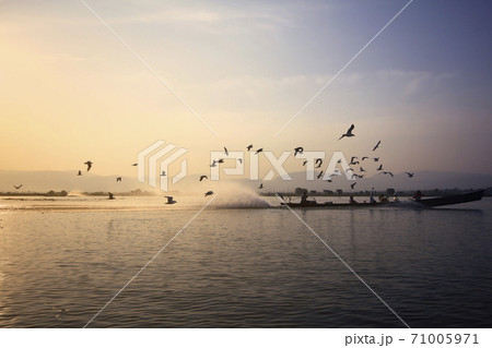 The seagulls over the boat sail on the water. 71005971