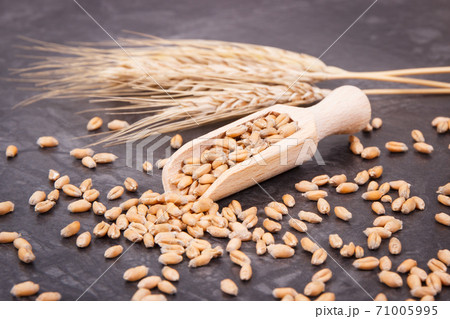 Rye or wheat grains with spoon and ears of cereal Rye or wheat grains with spoon and ears of cereal 71005995