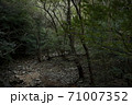 流石群 71007352