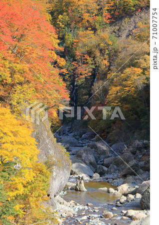 秋山郷の秋 切明の中津川渓谷 秋山郷の秋 切明の中津川渓谷 71007754