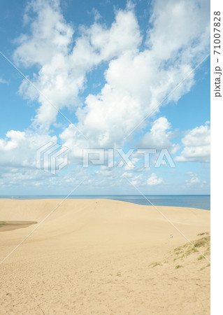 鳥取砂丘 鳥取砂丘 71007828