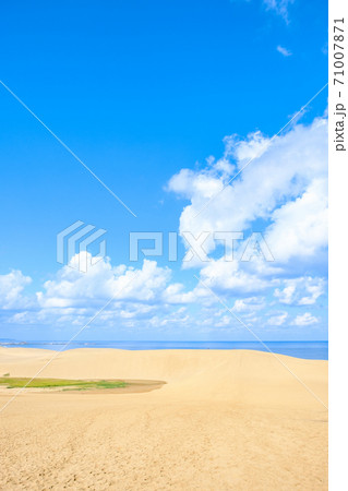 鳥取砂丘 71007871