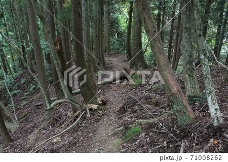鎌刃城 鎌刃城 71008262