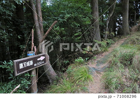 鎌刃城 鎌刃城 71008296