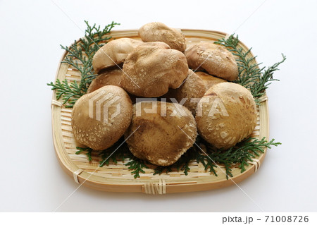 しいたけ 71008726