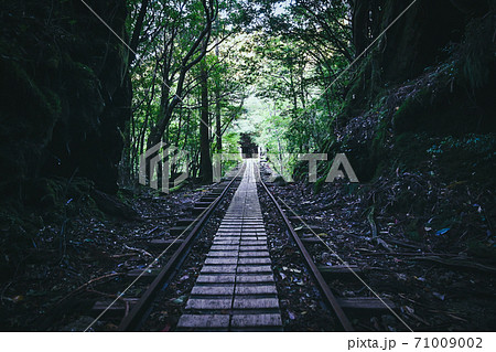 屋久島登山道 71009002