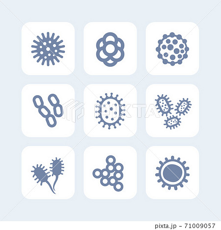 bacteria, microbes and viruses icons set on white bacteria, microbes and viruses icons set on white 71009057