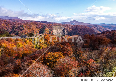 雨上がりの湯浜峠　紅葉　ドローン撮影　宮城県栗原市 71009092