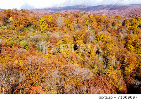 雨上がりの湯浜峠 紅葉 ドローン撮影 宮城県栗原市 雨上がりの湯浜峠 紅葉 ドローン撮影 宮城県栗原市 71009097
