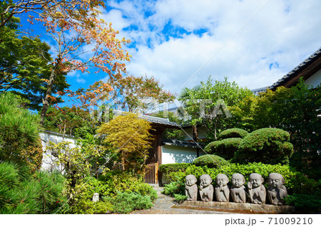 霊源院 お地蔵さん 東福寺塔頭 霊源院 お地蔵さん 東福寺塔頭 71009210