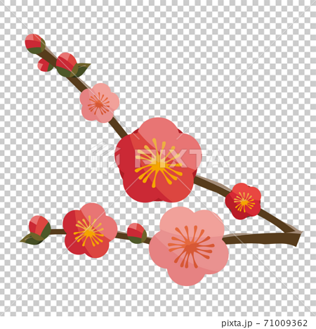 和風の梅の花　赤ピンク 71009362