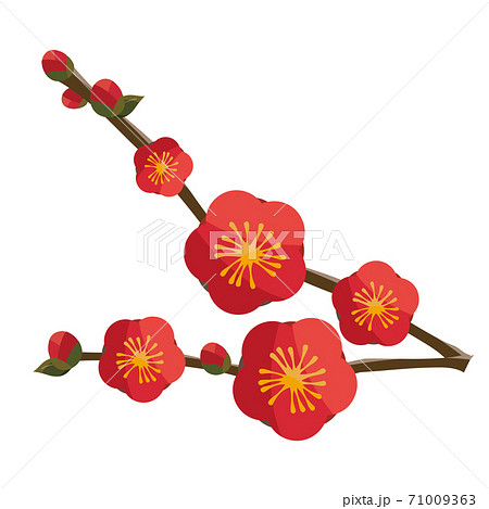 和風の梅の花 赤のイラスト素材