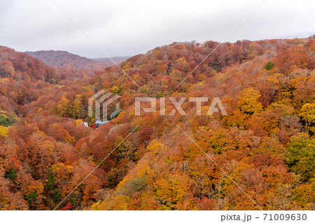 秋の湯浜峠の風景　湯浜温泉　宮城県栗原市 71009630