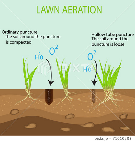 A green lawn with on the ground in the context of the advantages of the aeration tool with hollow pipes in comparison with the usual method. A green lawn with on the ground in the context of the advantages of the aeration tool with hollow pipes in comparison with the usual method. 71010203