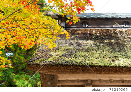 仙台藩花山村寒湯番所跡の紅葉 宮城県栗原市の写真素材