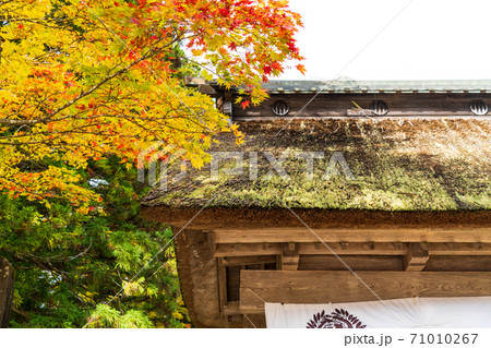 仙台藩花山村寒湯番所跡の紅葉　宮城県栗原市 71010267