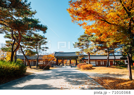 Autumn of Silleuksa Temple in Yeoju, Korea 71010368