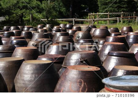 かめ つぼ 伝統 71010396