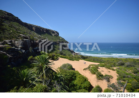 パームビーチの灯台へ向かう 71010434