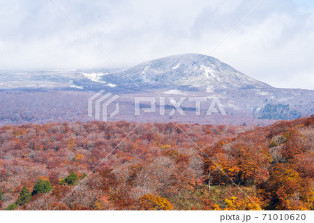 雨上がりの湯浜峠　紅葉と栗駒山　宮城県栗原市 71010620