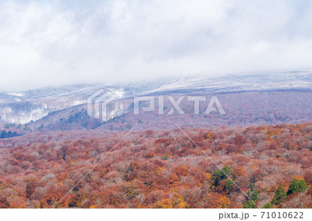 雨上がりの湯浜峠　紅葉と栗駒山　宮城県栗原市 71010622