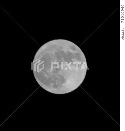 夜の満月 71010940
