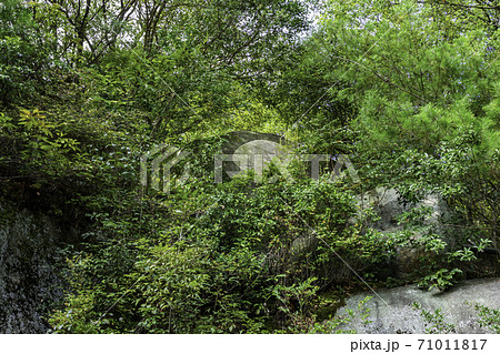 千光寺 鏡岩 広島県尾道市 千光寺 鏡岩 広島県尾道市 71011817