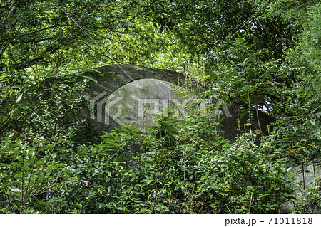千光寺　鏡岩　広島県尾道市 71011818
