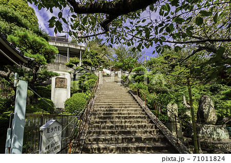 千光寺　境内　広島県尾道市 71011824