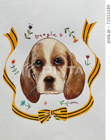 ビーグル犬のかわいいイラストのイラスト素材