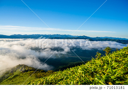 雲海、早朝、一面の雲海、雲海越しの太陽、上空の雲海、富良野、北海道、美瑛、快晴、青空、 71013181
