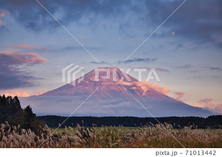 夕焼けの富士山 夕焼けの富士山 71013442