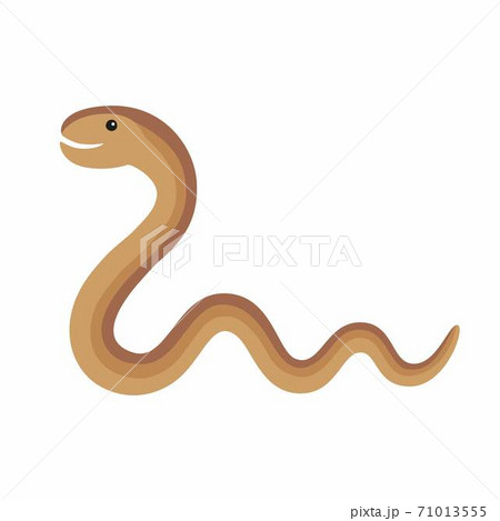 Cartoon Slow worm resembles a snake isolated on white background. 71013555