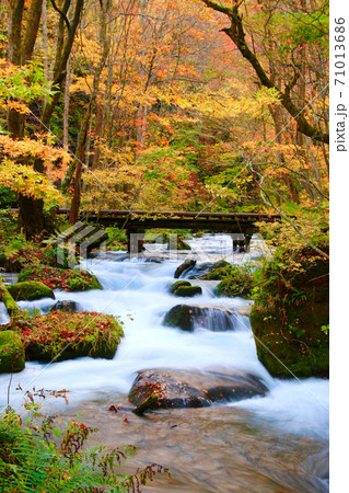 錦秋奥入瀬 秋の奥入瀬渓流・百両橋（青森県・十和田市）の写真素材