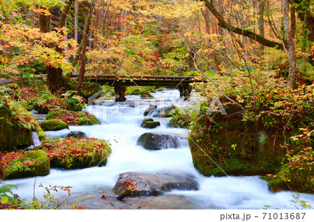 秋の奥入瀬渓流・百両橋（青森県・十和田市）の写真素材 [71013687] - PIXTA