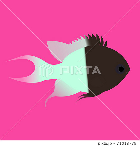 紅海にいる黒とミントグリーンの熱帯魚のイラスト ピンクの背景 インテリアデコレーション用のイラスト素材