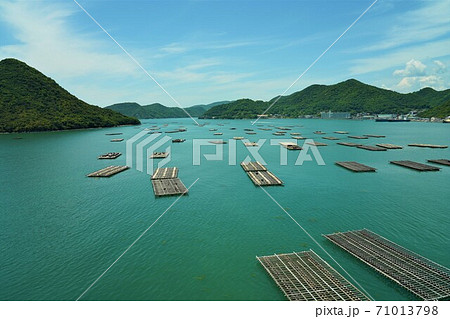 日生湾と牡蠣筏 71013798