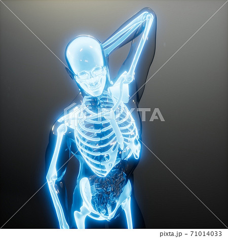 Transparent Human Body With Visible Bonesのイラスト素材